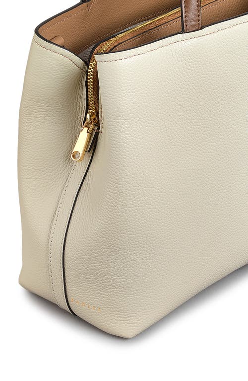 Radley Small Regents Row Colorblock Crossbody Bag In Brown