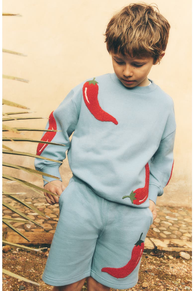 Kids' Fun Cotton Sweat Shorts, Alternate, color, SEAMIST BLUE CHILLIES