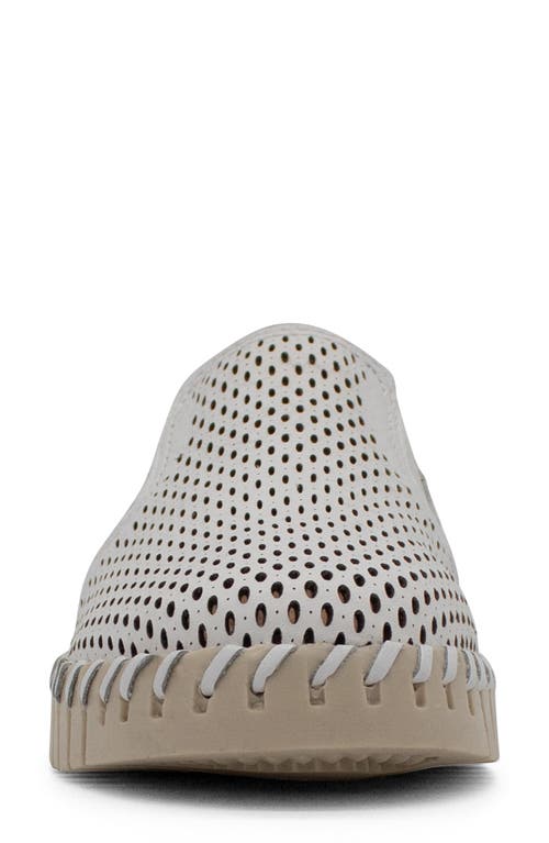 Bottero Bottwister Verao Slip-on Sneaker