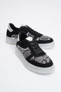Prologue Shoes Montero Sneakers