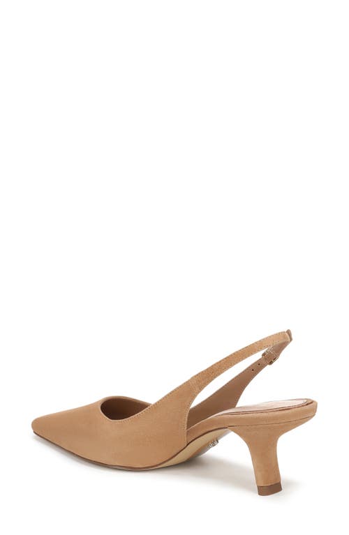 Sam Edelman Bianka Pointed Toe Slingback Pump In Brown