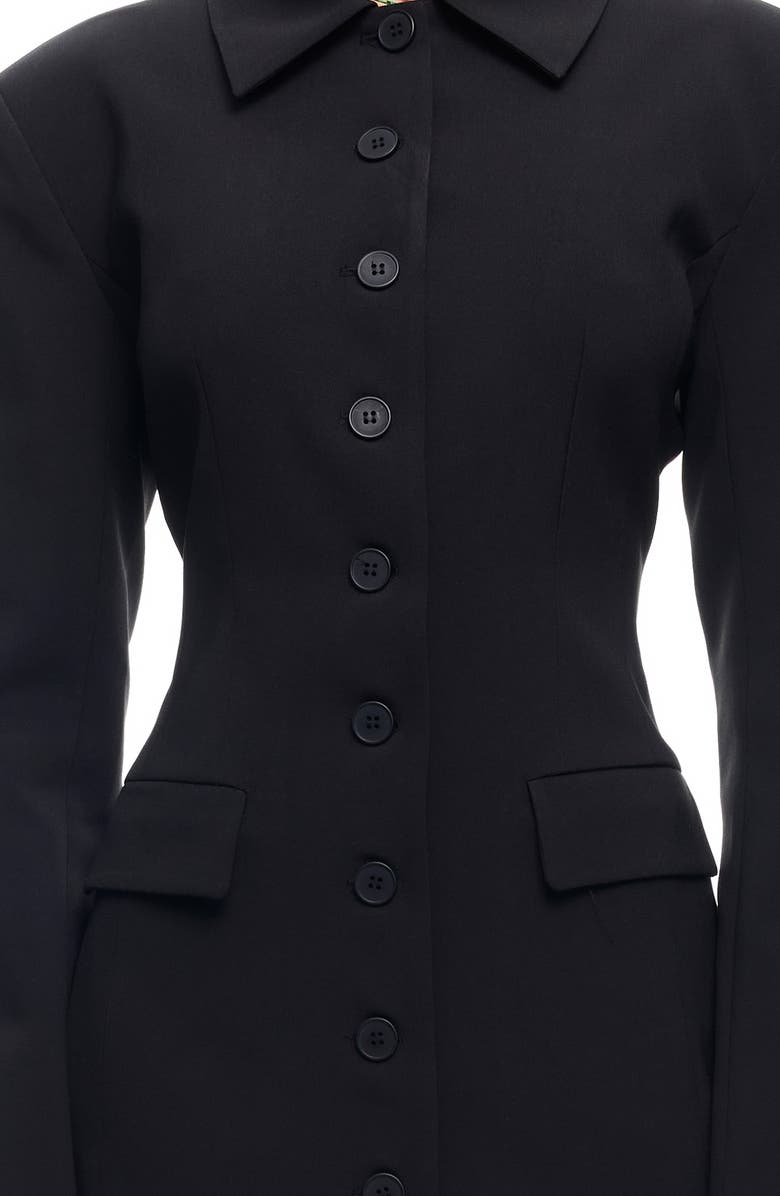 Cheri Long Sleeve Minidress