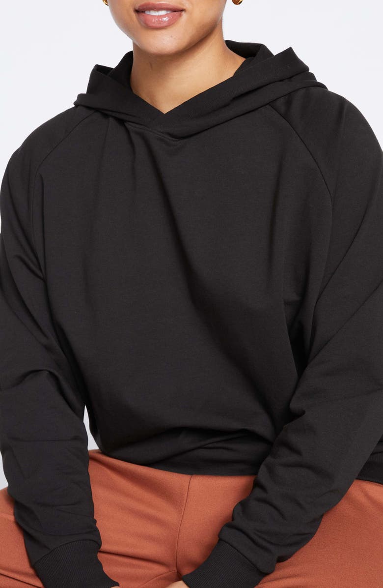 Universal Standard French Terry Hoodie, Alternate, color, Black