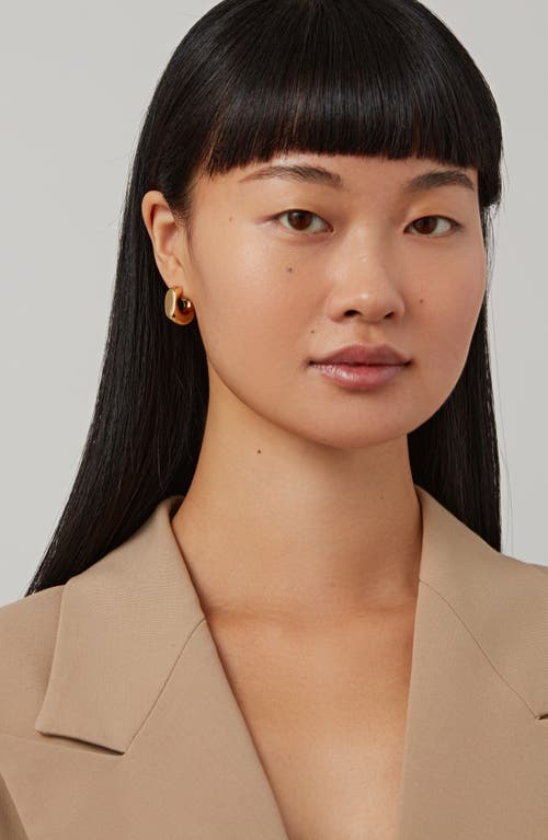 Jenny Bird Medium Mila Hoop Earrings