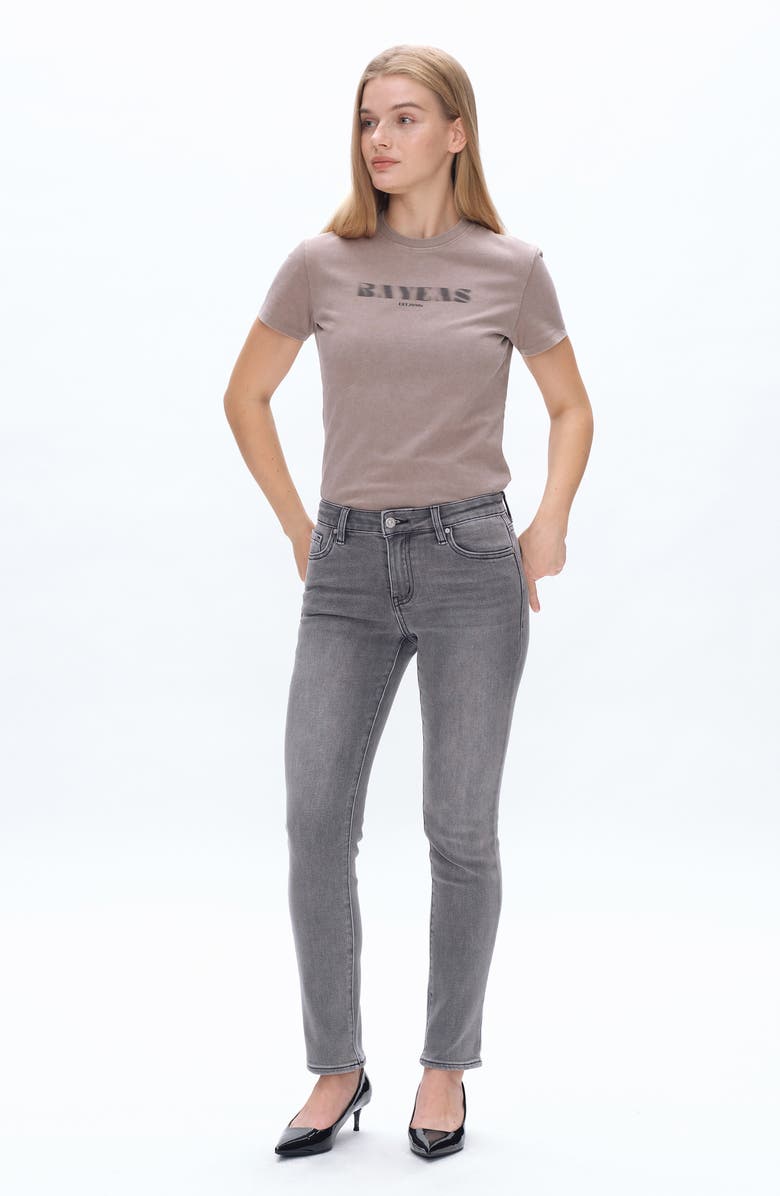 Bayeas Emily High Waist Slim Straight Leg Jeans, Alternate, color, Stone Grey