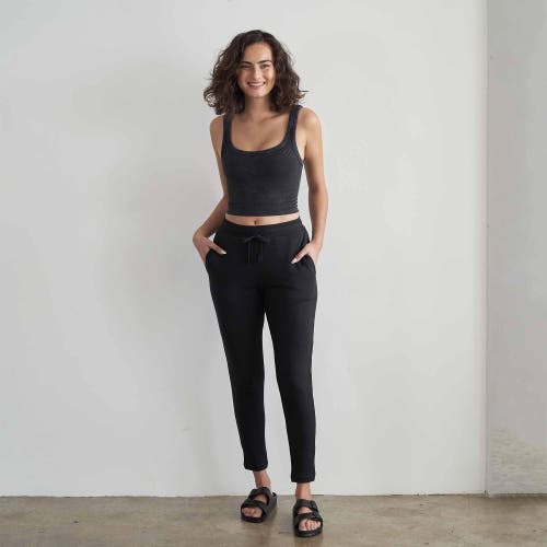 Eavolu Serengeti Pant In Slate