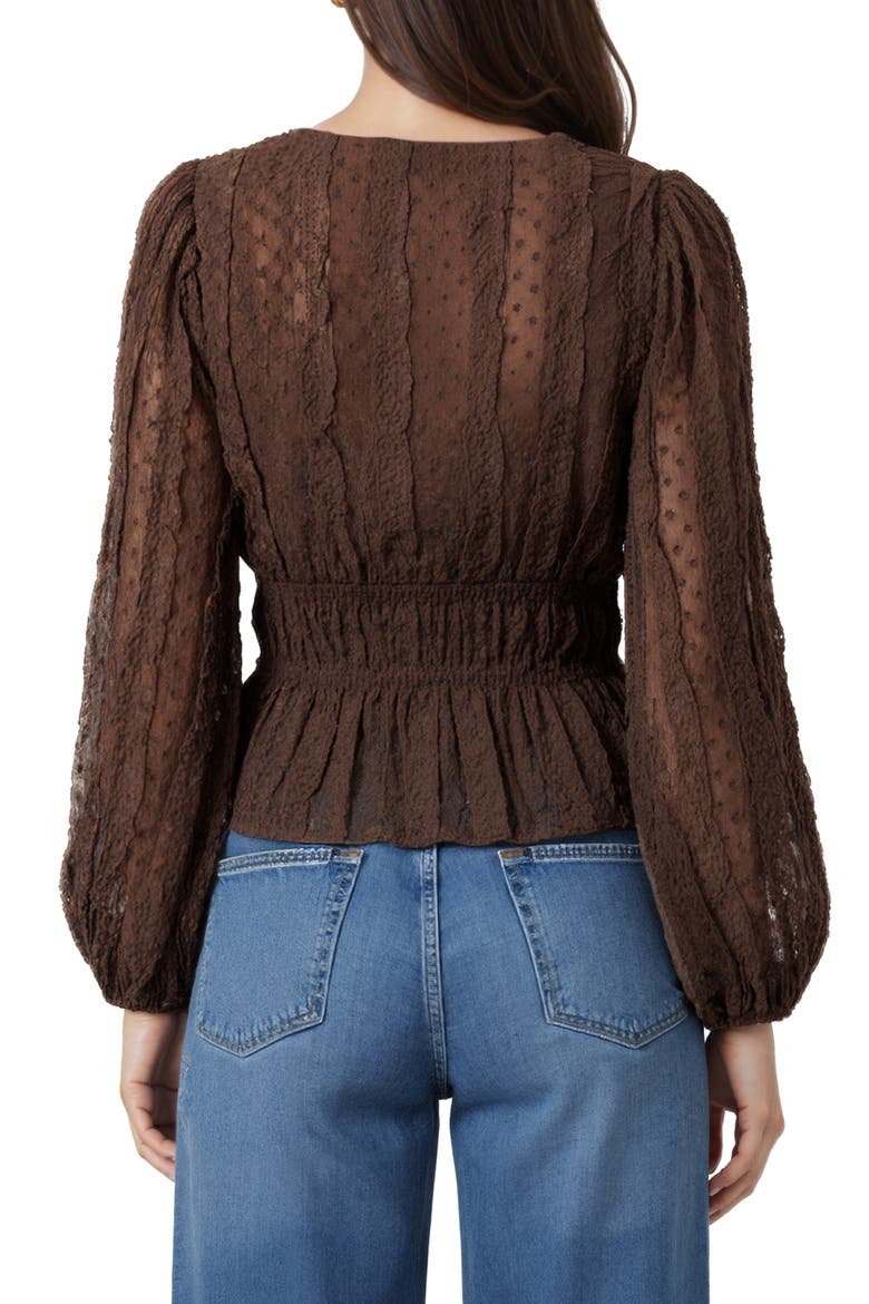Ruched V-Neck Tie Front Top, Alternate, color, BROWN