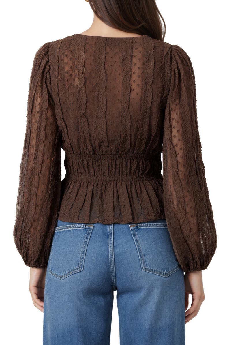 All in Favor Ruched V-Neck Tie Front Top, Alternate, color, Brown