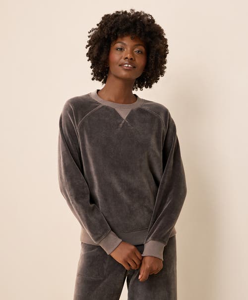 Pact Pure Velour Crew Sweatshirt In Multi