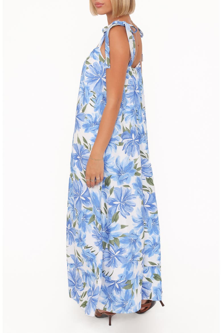 Amber Floral Print Maxi Dress, Alternate, color, BLUE FLORAL