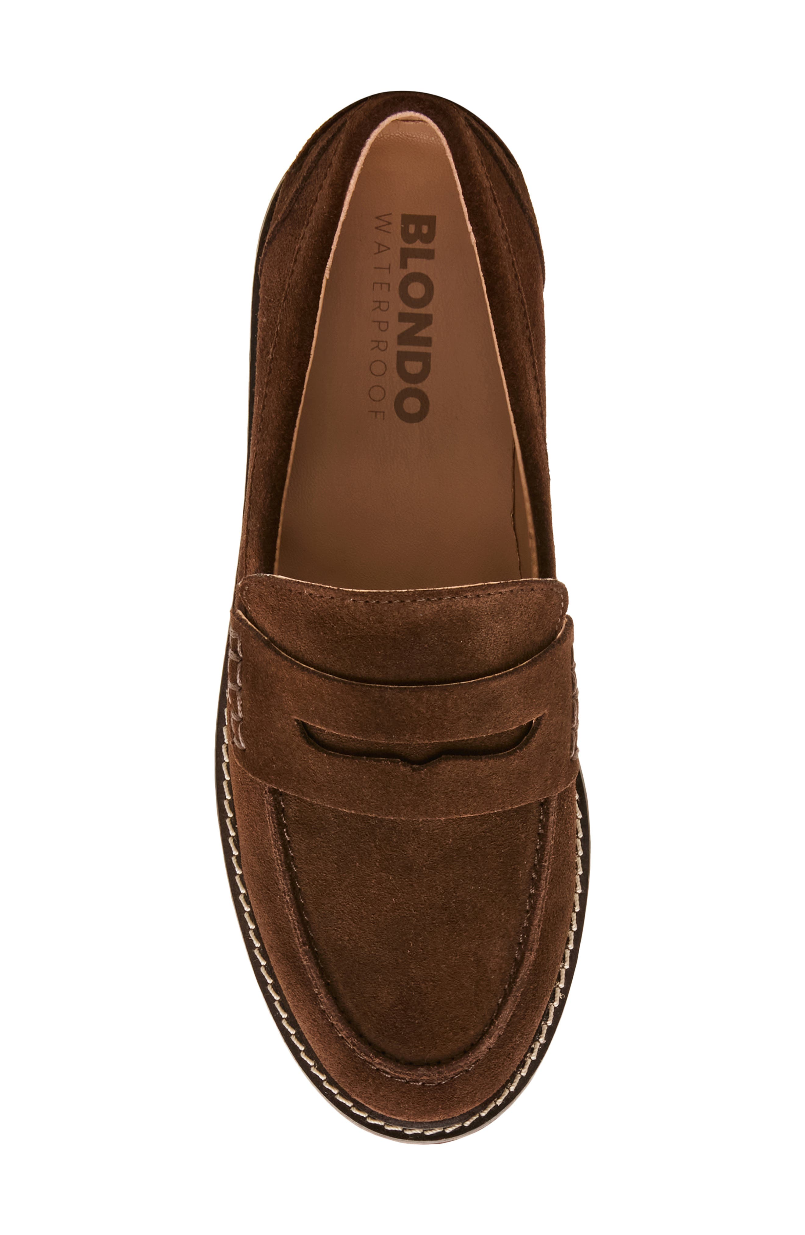 Waterproof Penny Loafer, Alternate, color, CHOCOLATE SUEDE