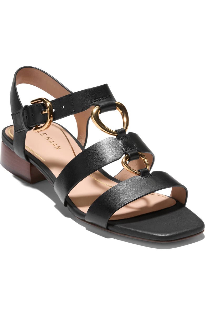 Cole Haan Lyanna Link Slingback Sandal, Main, color,