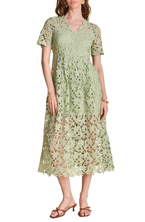 Allover Lace Midi Dress