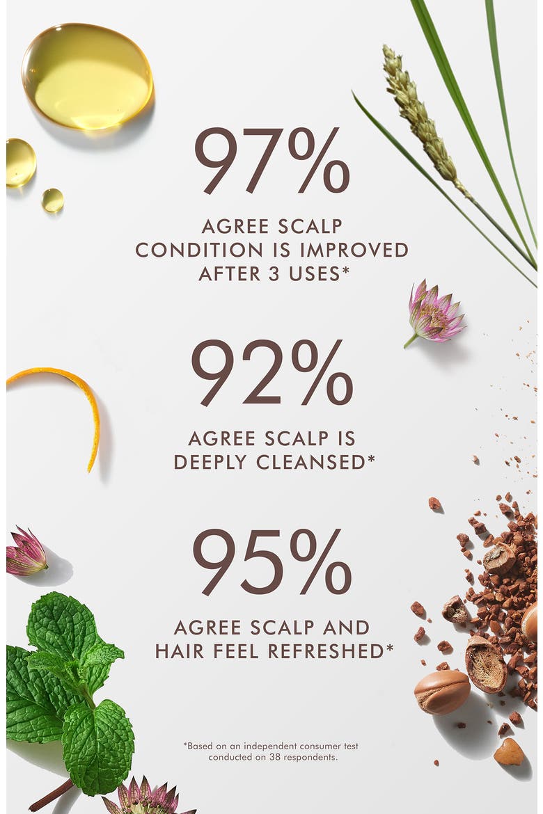Purifying Pre-Wash Scalp Scrub, Alternate, color, NO COLOR