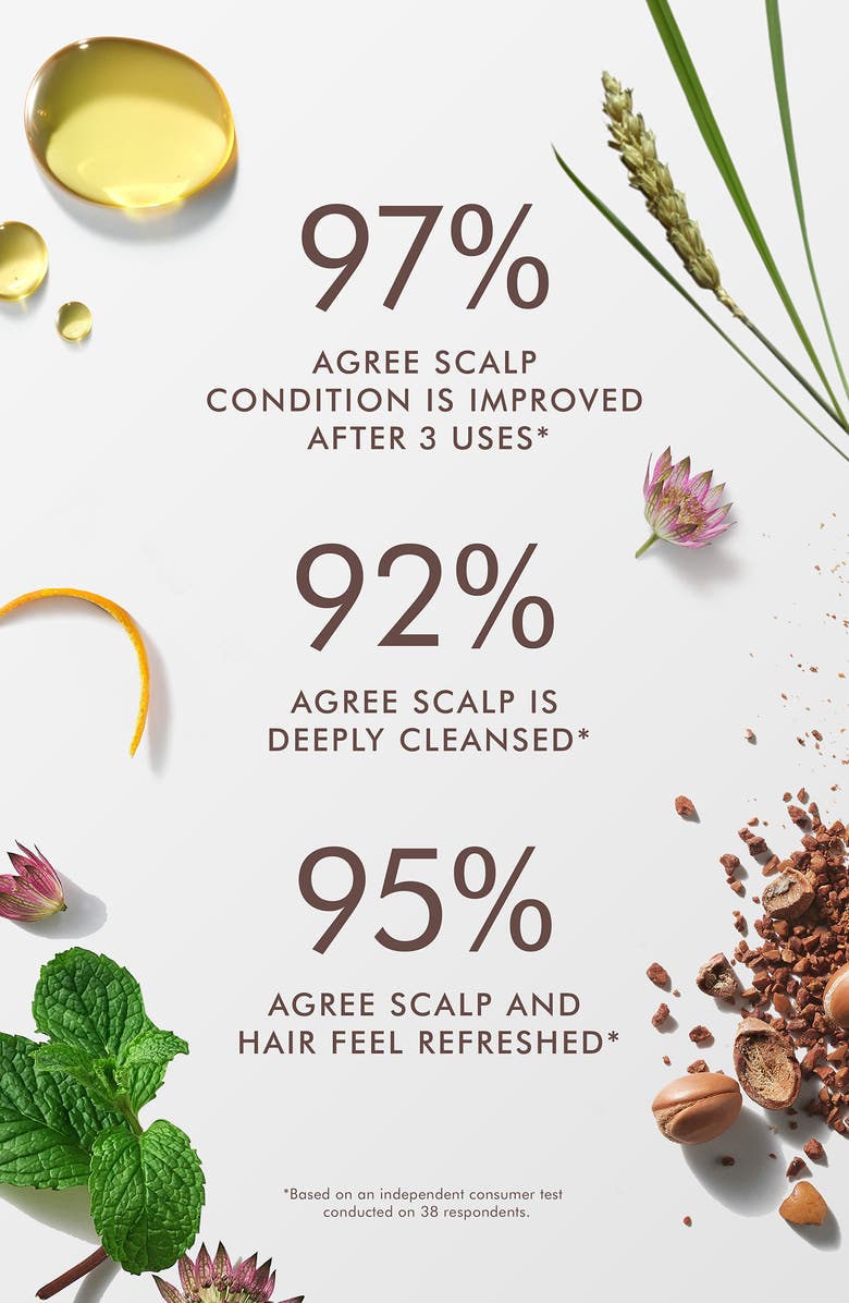 MOROCCANOIL<sup>®</sup> Purifying Pre-Wash Scalp Scrub, Alternate, color,