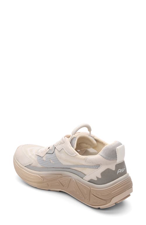 Ash Eagle Platform Sneaker In White