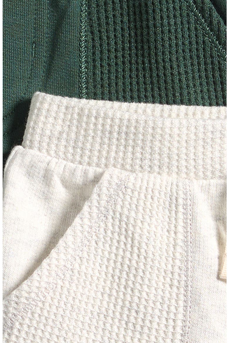 2-Pack Organic Cotton Drawstring Shorts, Alternate, color, GREEN GREY