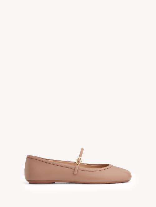 Gianvito Rossi Carla Ballet Flats In Pink
