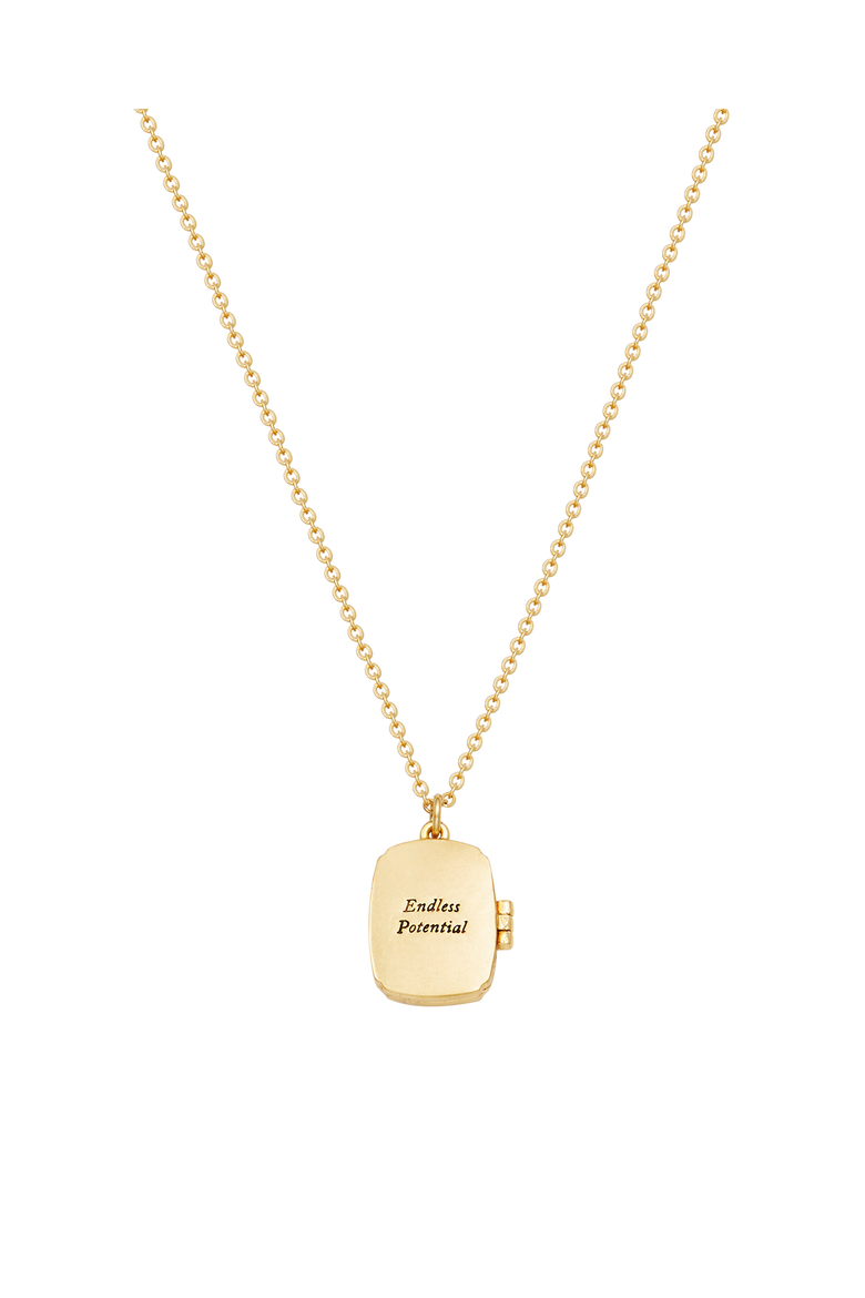 Orla Hedgerow Locket Necklace, Alternate, color, Gold