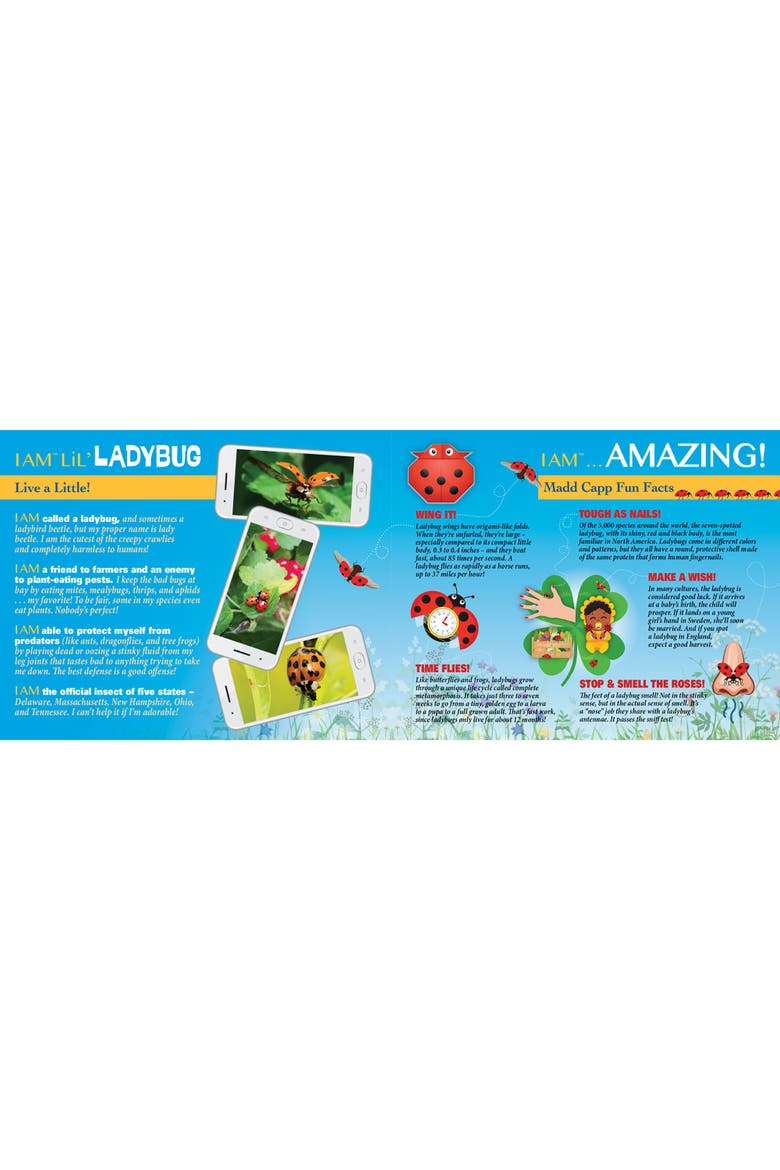 Lil Ladybug 100 Piece Jigsaw Puzzle, Alternate, color, Multicolored