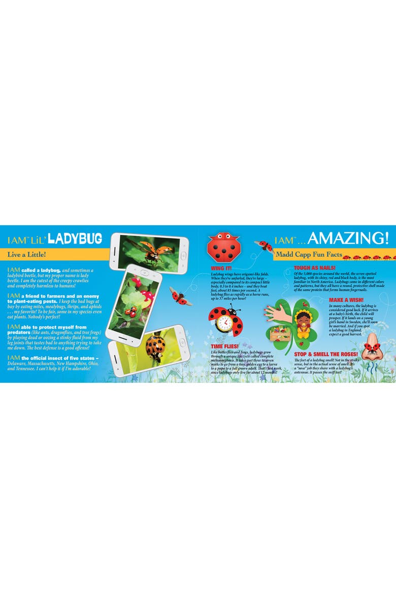 Madd Capp Lil Ladybug 100 Piece Jigsaw Puzzle, Alternate, color, Multicolored