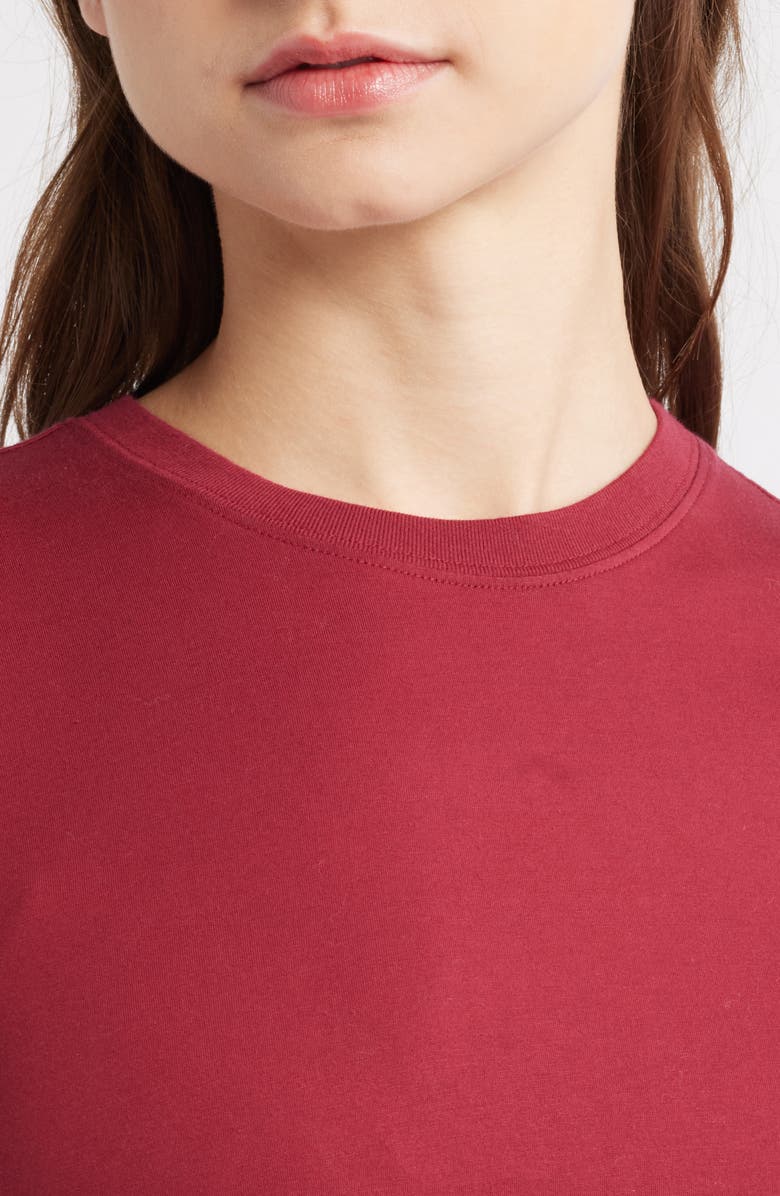 FRAME The Baby Tee, Alternate, color, Pinot