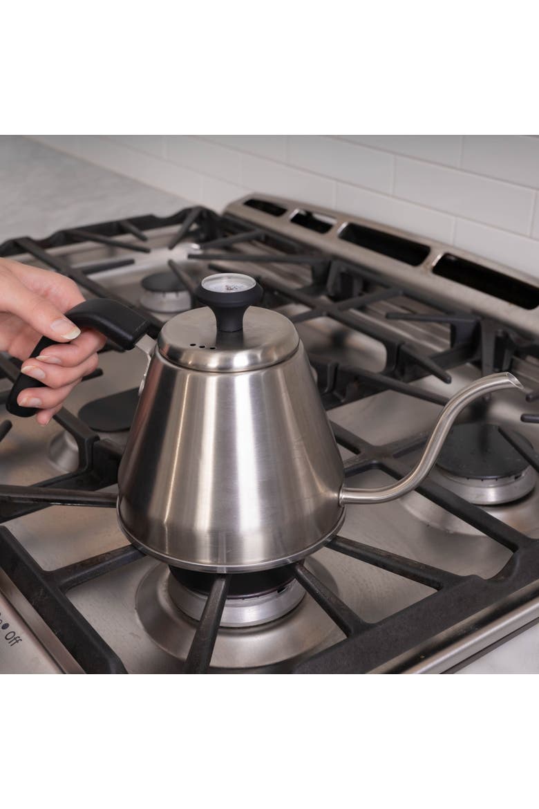 Stainless Steel Kettle w/ Beverage Thermometer, 1.2L Silver, Alternate, color, Metallic Silver
