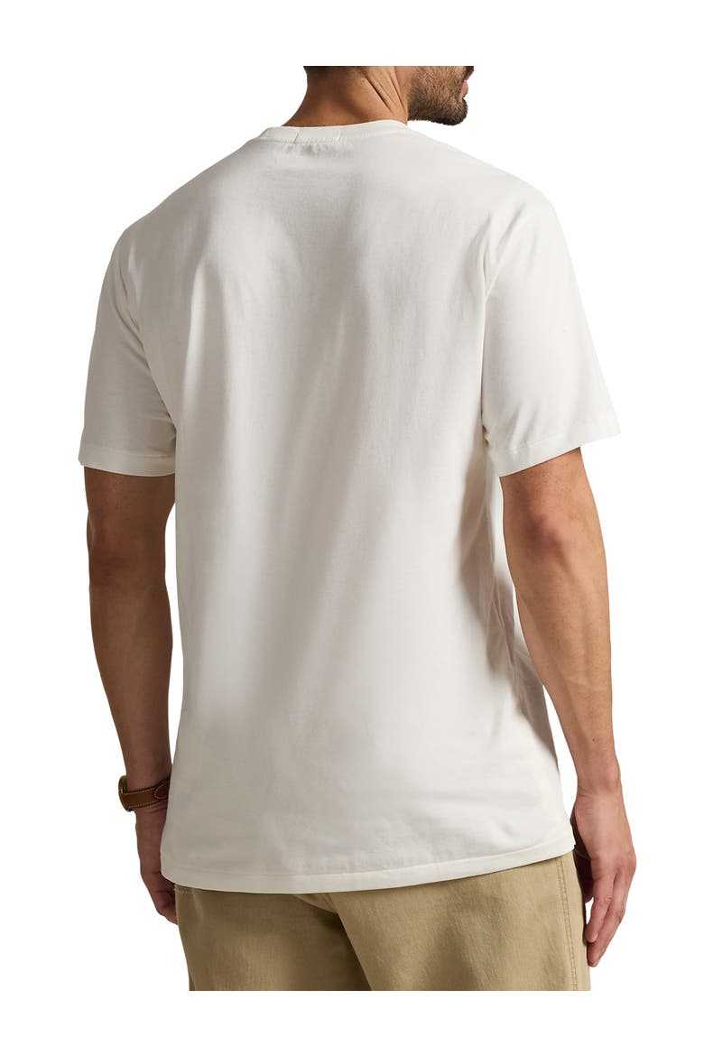 Big & Tall Hudson Valley Bear T-Shirt, Alternate, color, NEVIS