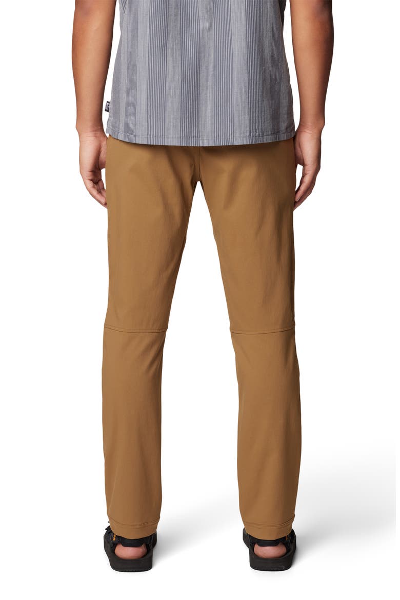 Hardwear Active All Purpose Pants, Alternate, color, COROZO NUT