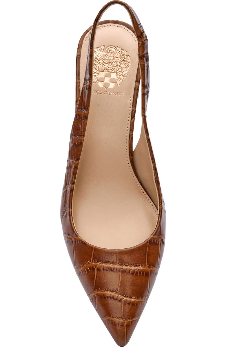 Vince Camuto Hamden Pointed Toe Slingback Pump, Alternate, color, Barn Brown