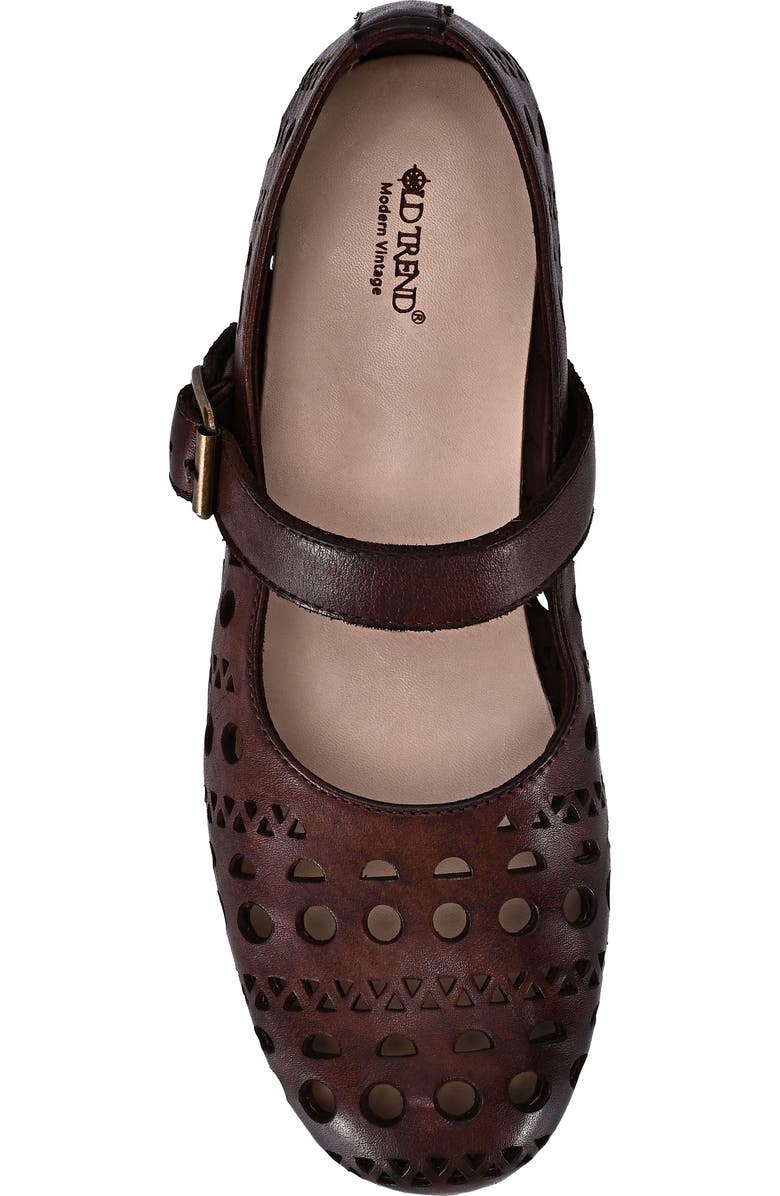 OLD TREND Retro Genuine Leather Breathable Cutout Mary Jane Flat, Alternate, color, Coffee