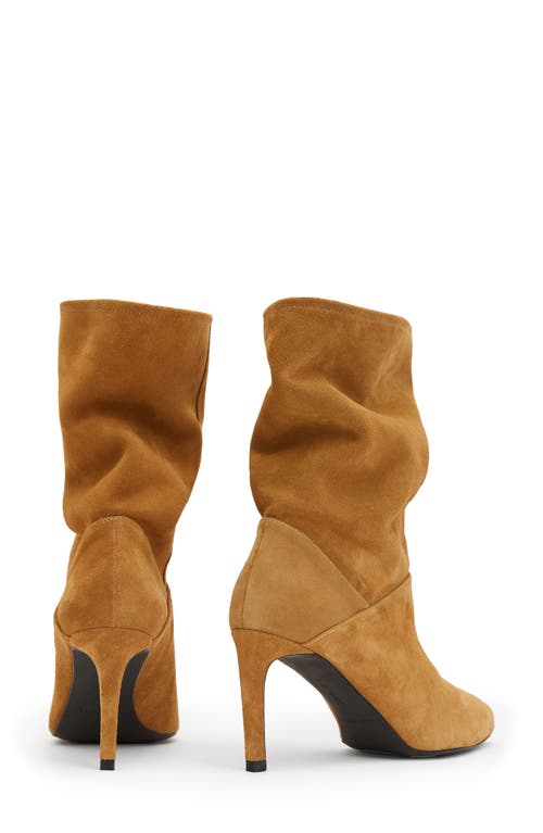 Allsaints Orlana Pointed Toe Boot In Brown