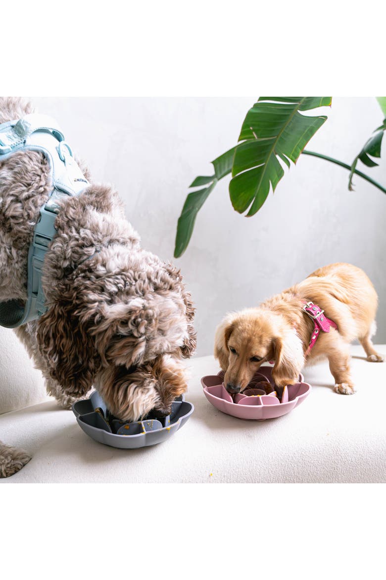 Slow Feeder, Alternate, color, Gray