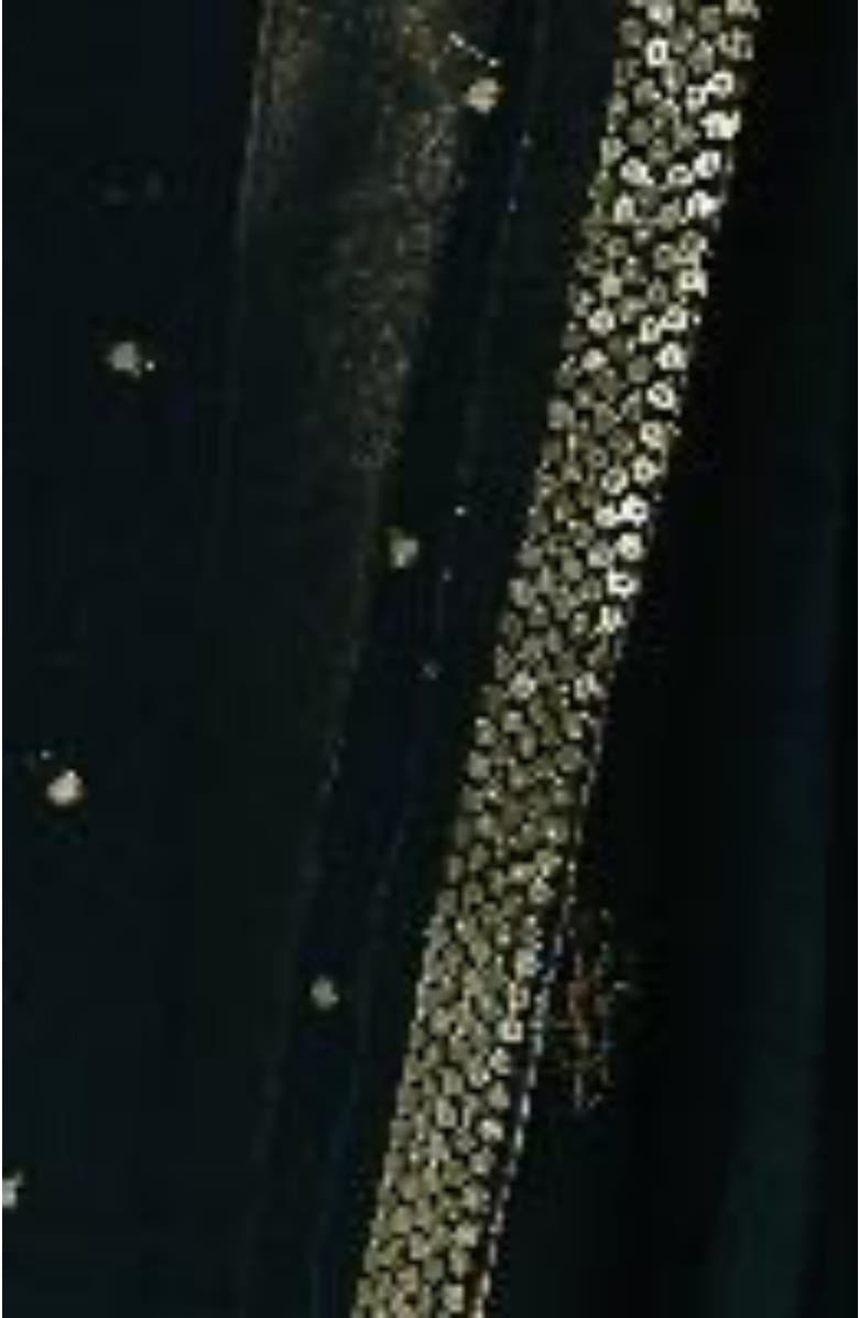 RAAS Sayona Raw Silk Embroidered Lehenga Choli, Alternate, color, 