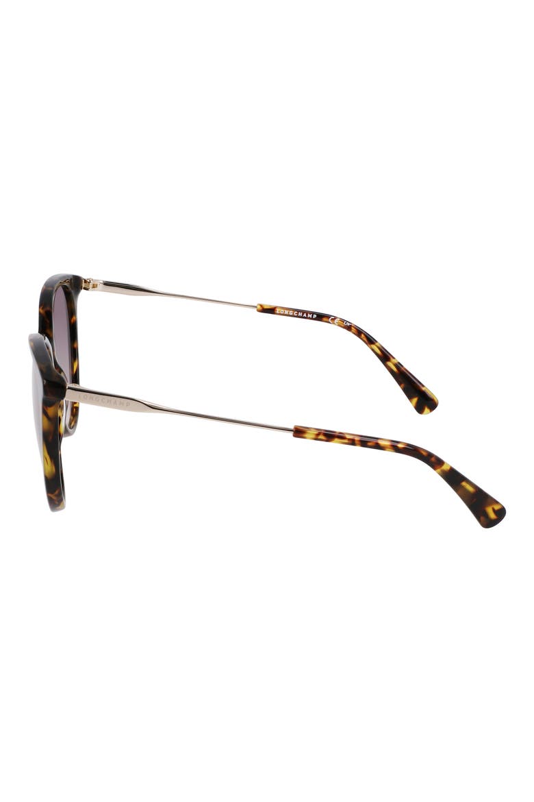 55mm Gradient Tea Cup Sunglasses, Alternate, color, DARK HAVANA