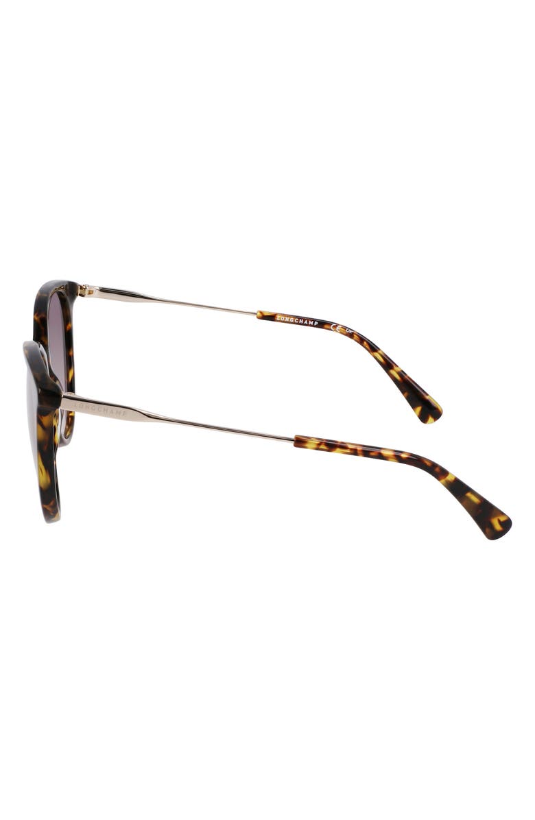 Longchamp 55mm Gradient Tea Cup Sunglasses, Alternate, color, Dark Havana