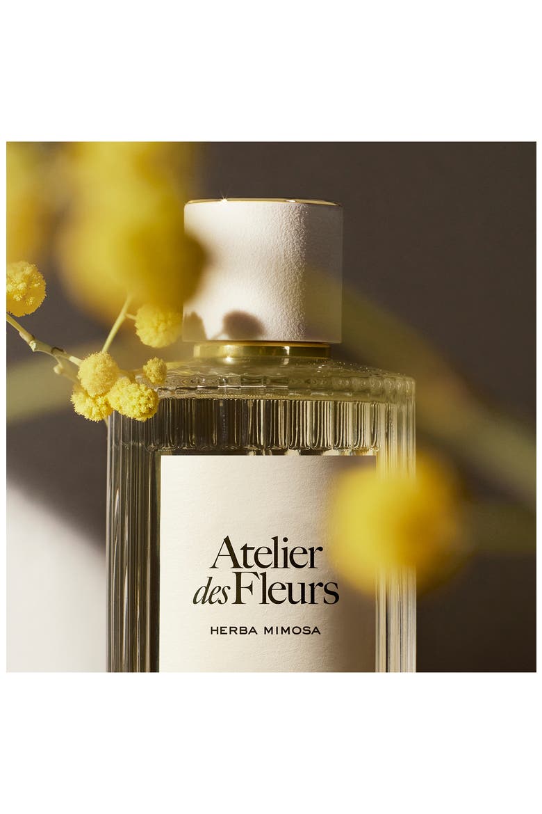 Atelier des Fleurs Herba Mimosa Eau de Parfum, Alternate, color, NO COLOR