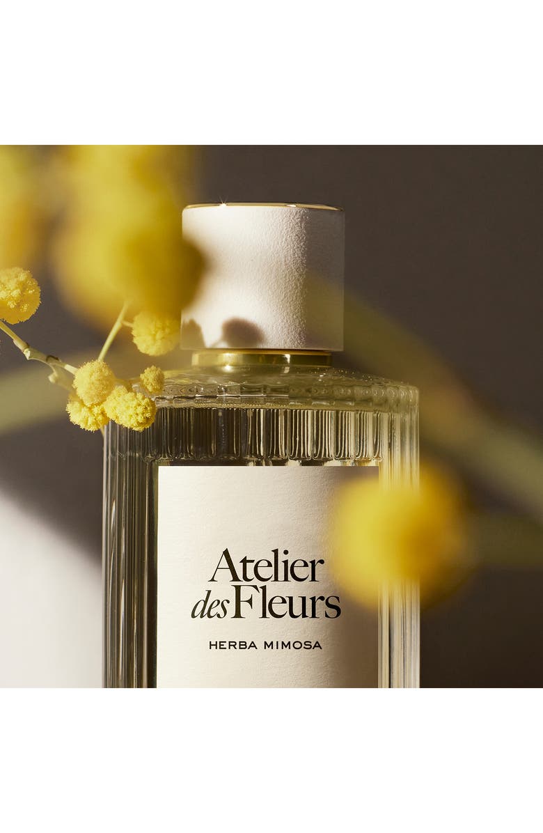 Chloé Atelier des Fleurs Herba Mimosa Eau de Parfum, Alternate, color, 