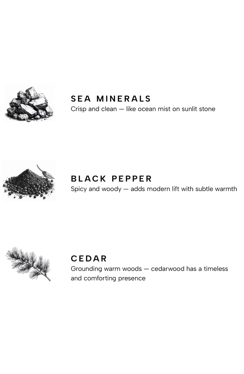 YANKEE CANDLE Marine Premium Scented Candle, Alternate, color, White