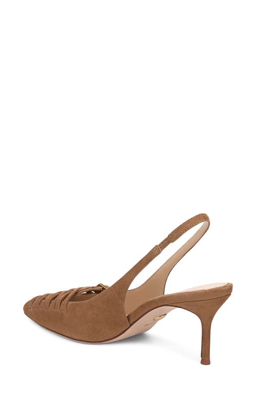 Veronica Beard Rashida Slingback Pointed Toe Pump In Brown