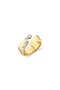 selected Yellow Gold
