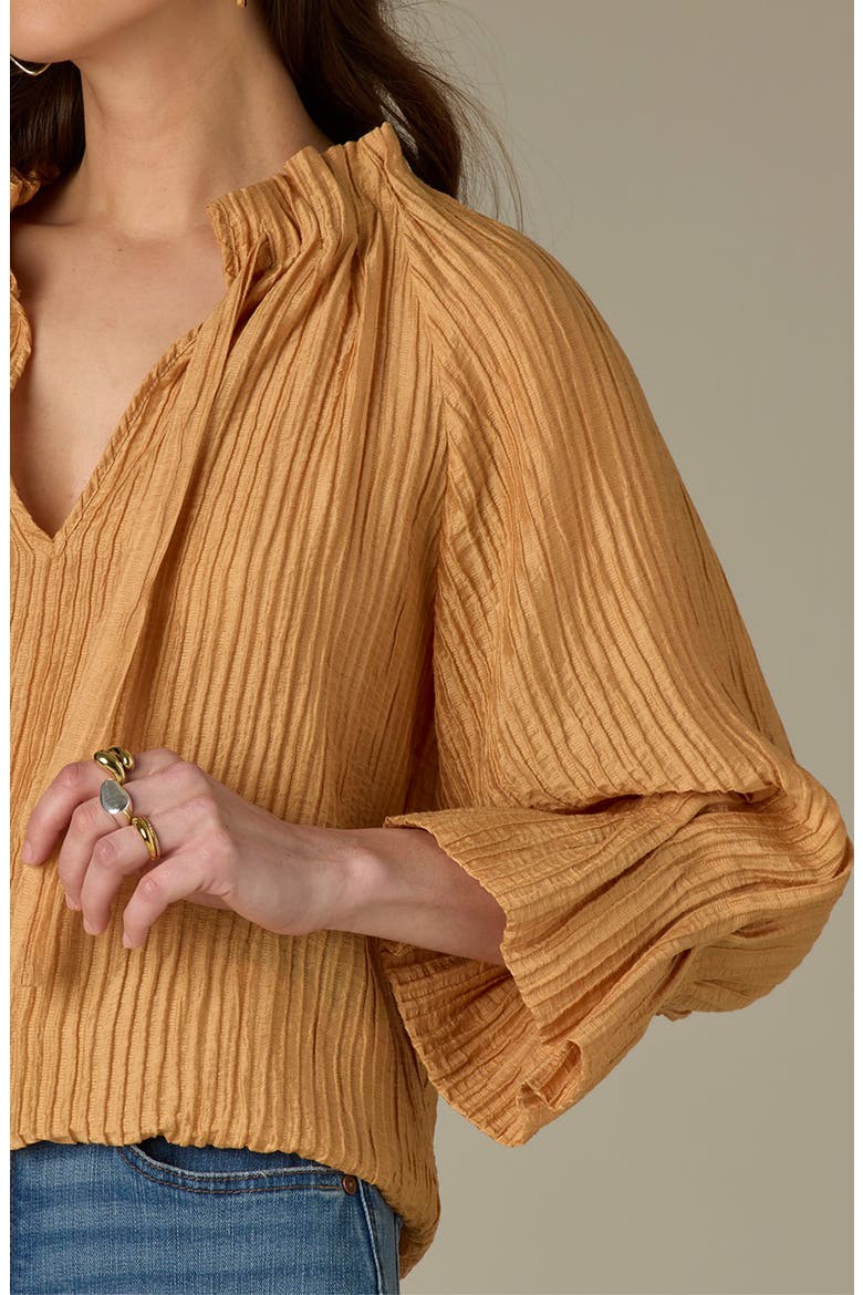 Pleated Tie Neck Top, Alternate, color, HONEY