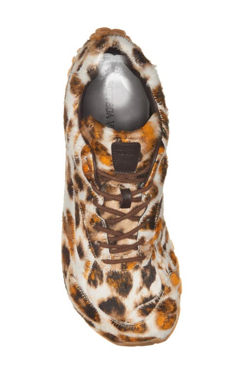 Bottega Veneta Orbit Sneaker In 2729 Jaguar