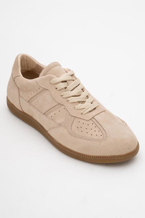 Forever & Always Shoes Aurel Suede Leather Sneakers