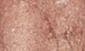 selected BEACHY BRONZE - SHIMMER