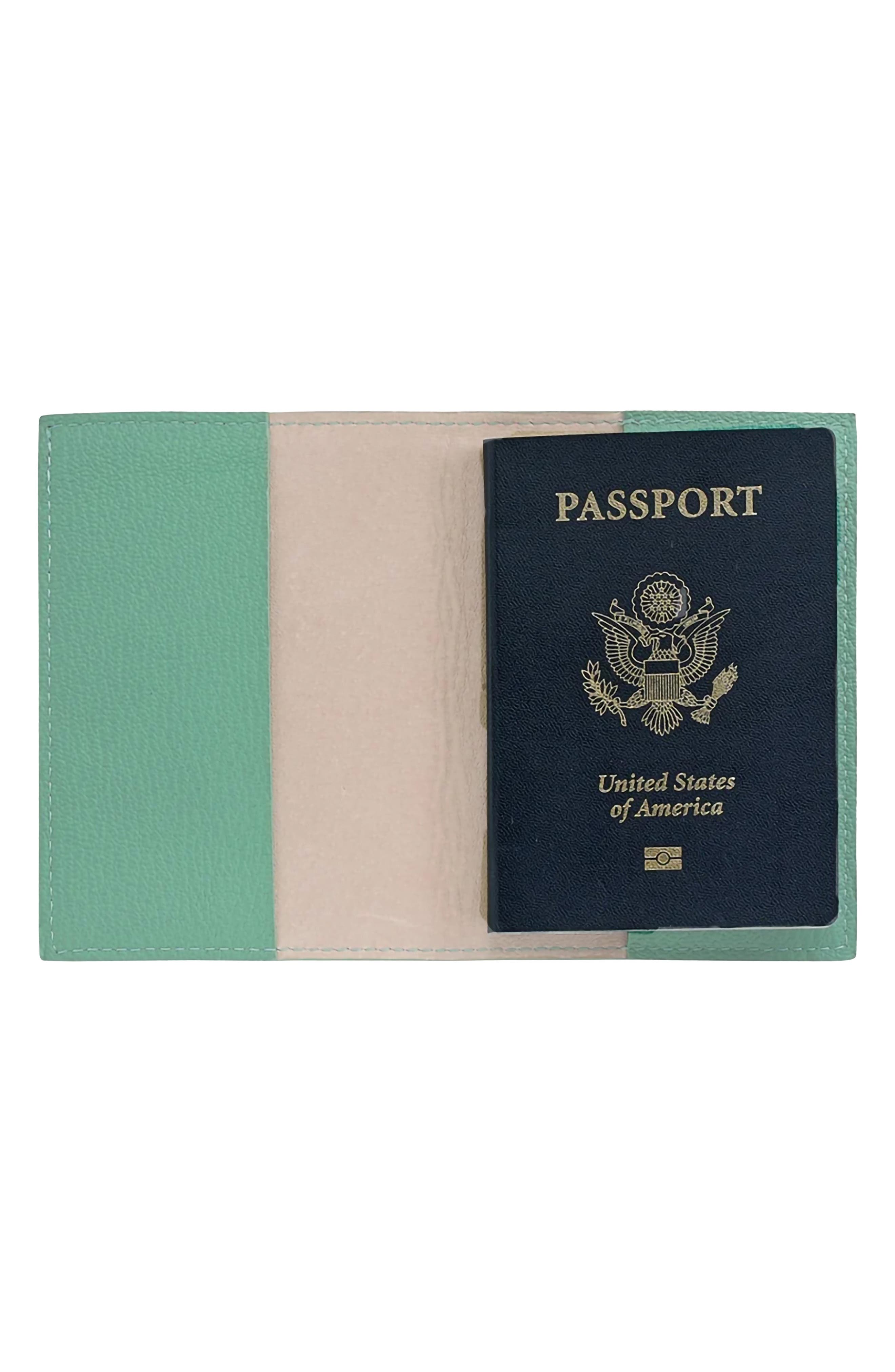 Graphic Image Leather Passport Cover, Alternate, color, Robins Egg Blue