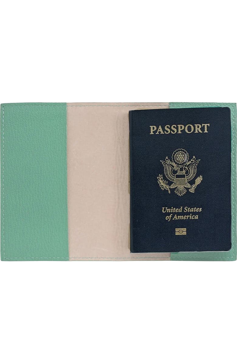 Graphic Image Leather Passport Cover, Alternate, color, Robins Egg Blue