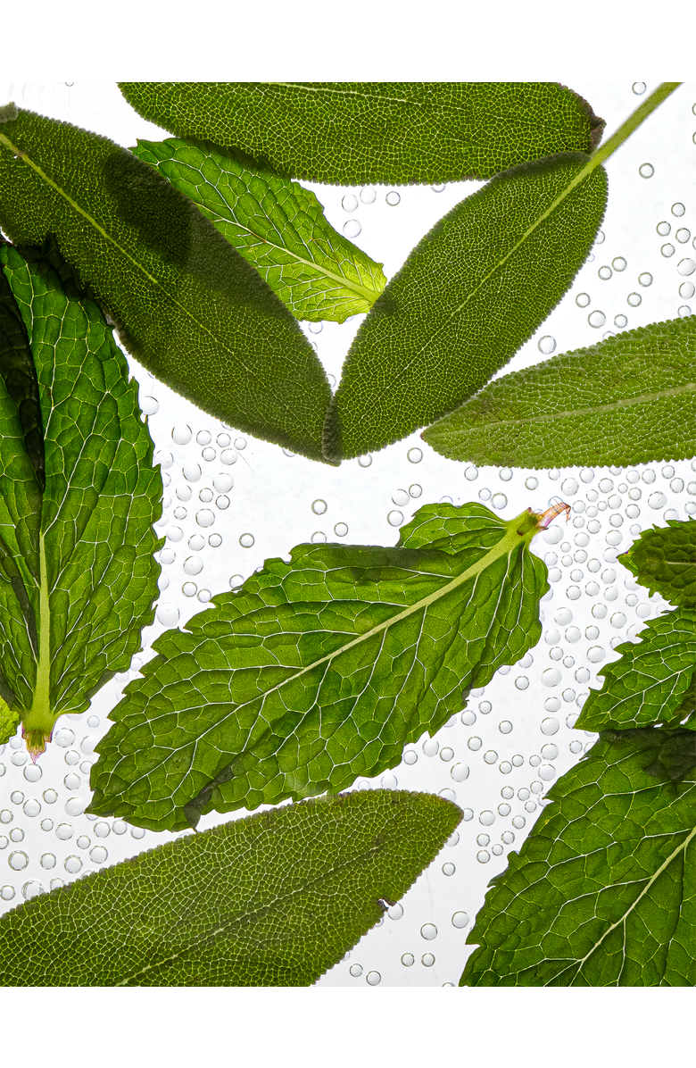 Esas NYC Minerale Organic Eau de Parfum - Salted Woods & Vetiver, Alternate, color, 0.33 Oz