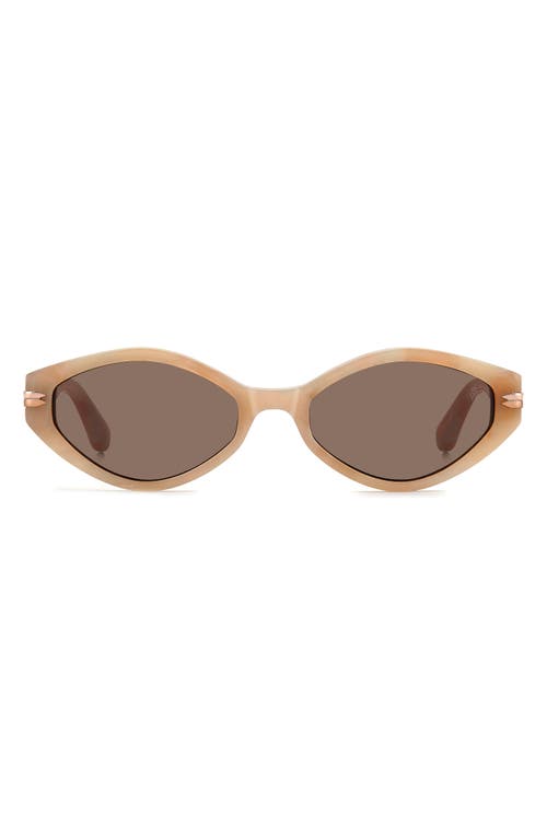 Stuart Weitzman Wzn 8029/s 54mm Oval Sunglasses In Havana White/brown