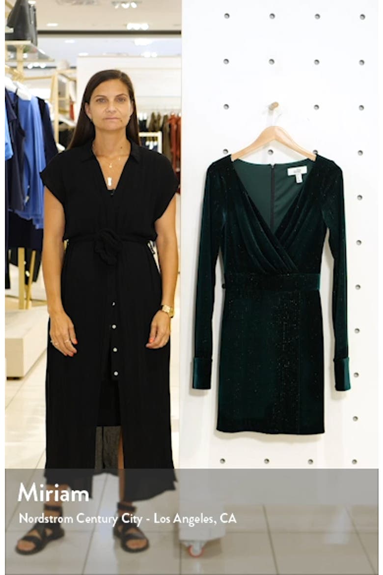Mark + James Badgley Mischka Metallic Stripe Long Sleeve Velvet Dress video